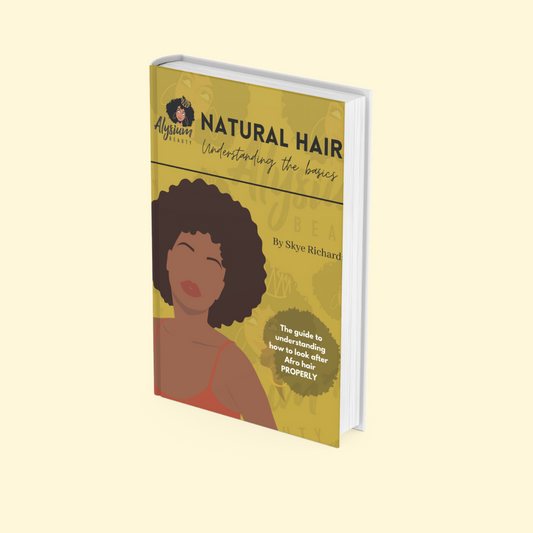 Understanding Natural Hair - The Basics ( EBOOK )